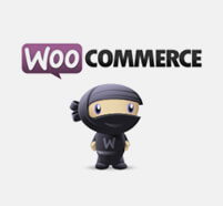 woocommerce-and-others-plugins-1